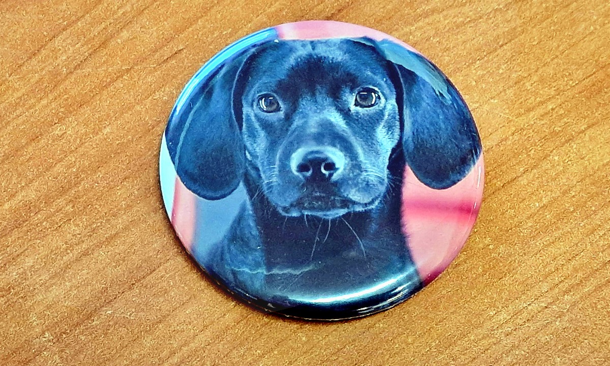 Personalizirana broška s fotografijo psa