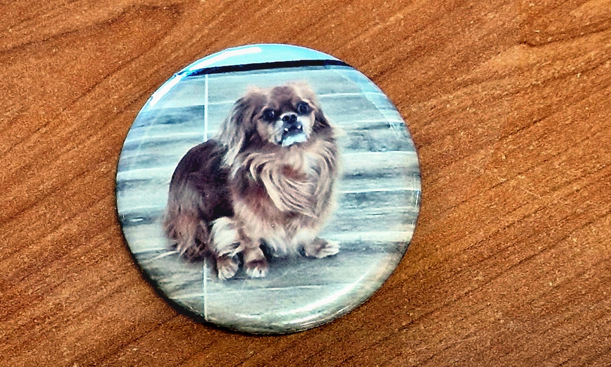 Personalizirana broška s fotografijo mačke